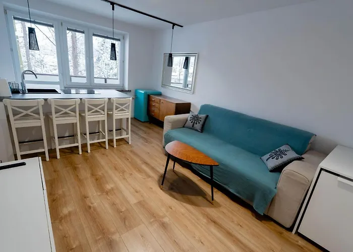 Apartament Baca Apartzakop