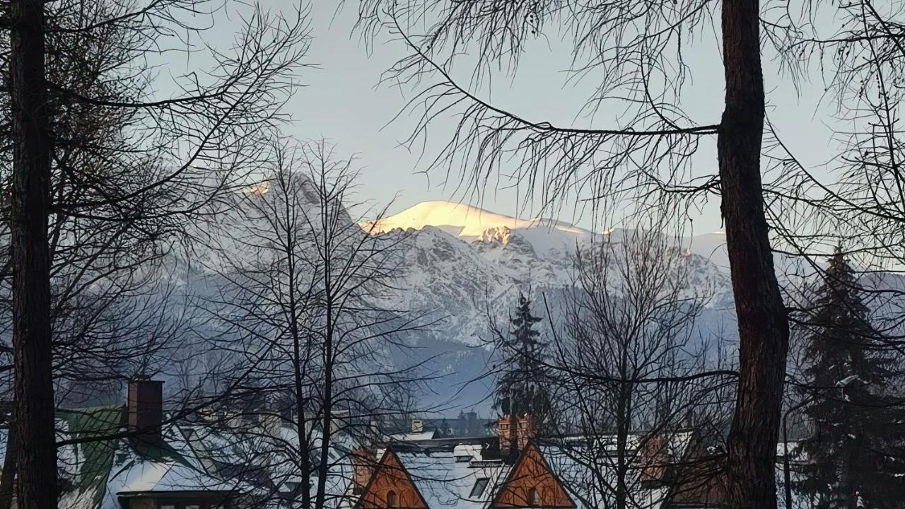 Baca Apartzakop Zakopane
